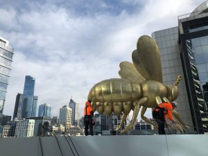 electrical services melbourne gold bee